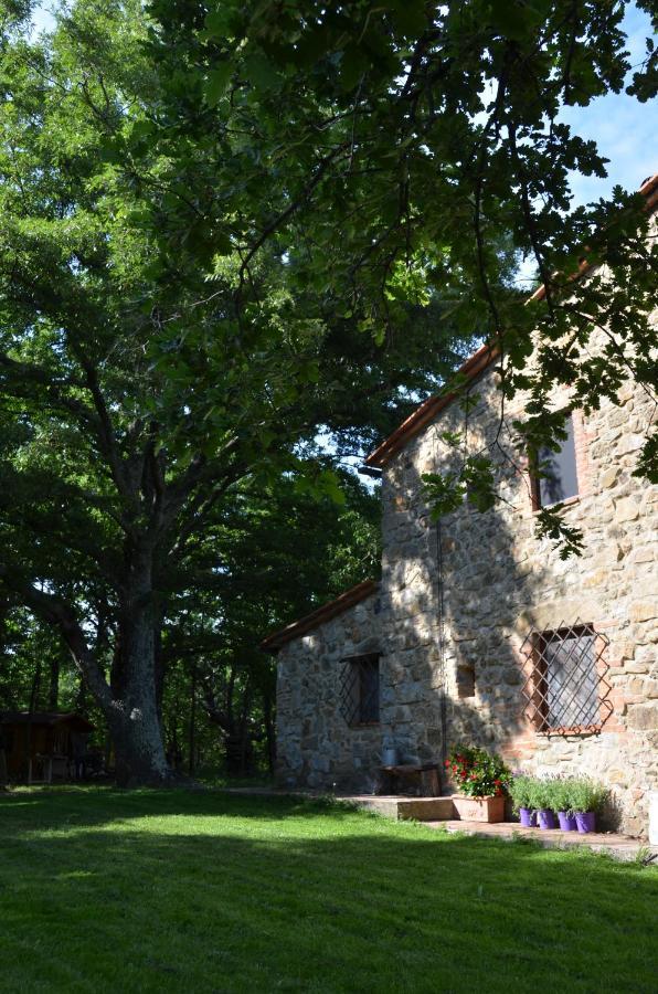 Bed and Breakfast Il Venaio Massa Marittima Exterior foto