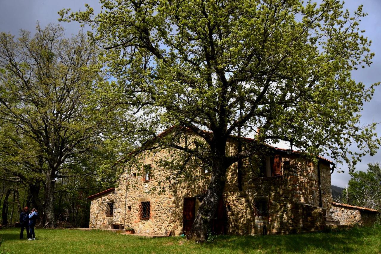 Bed and Breakfast Il Venaio Massa Marittima Exterior foto